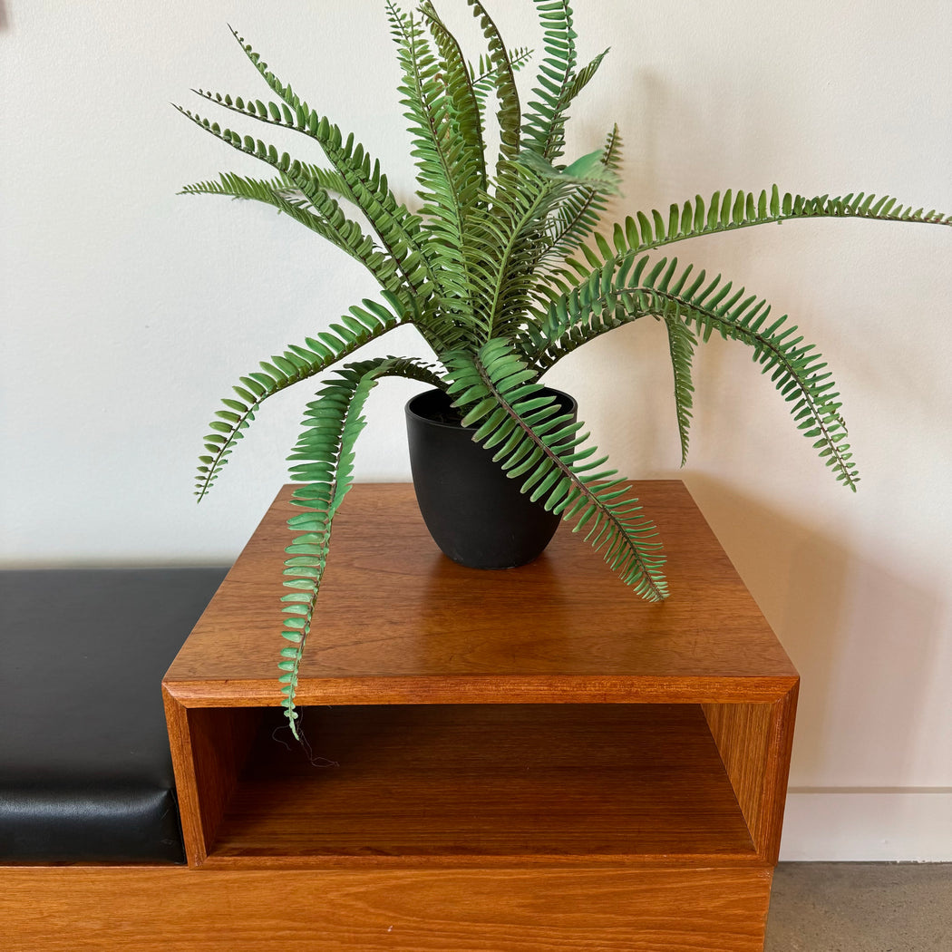 Teak Bench